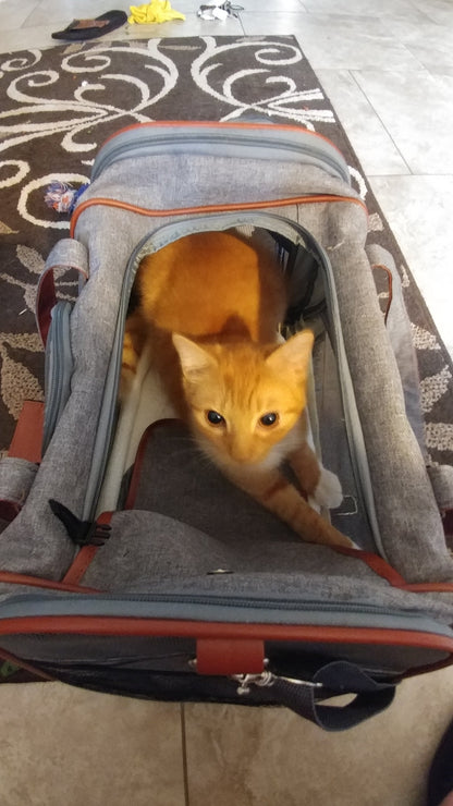 Mr. Peanut's Gold Series Standard Size Airline Compliant Pet Carrier