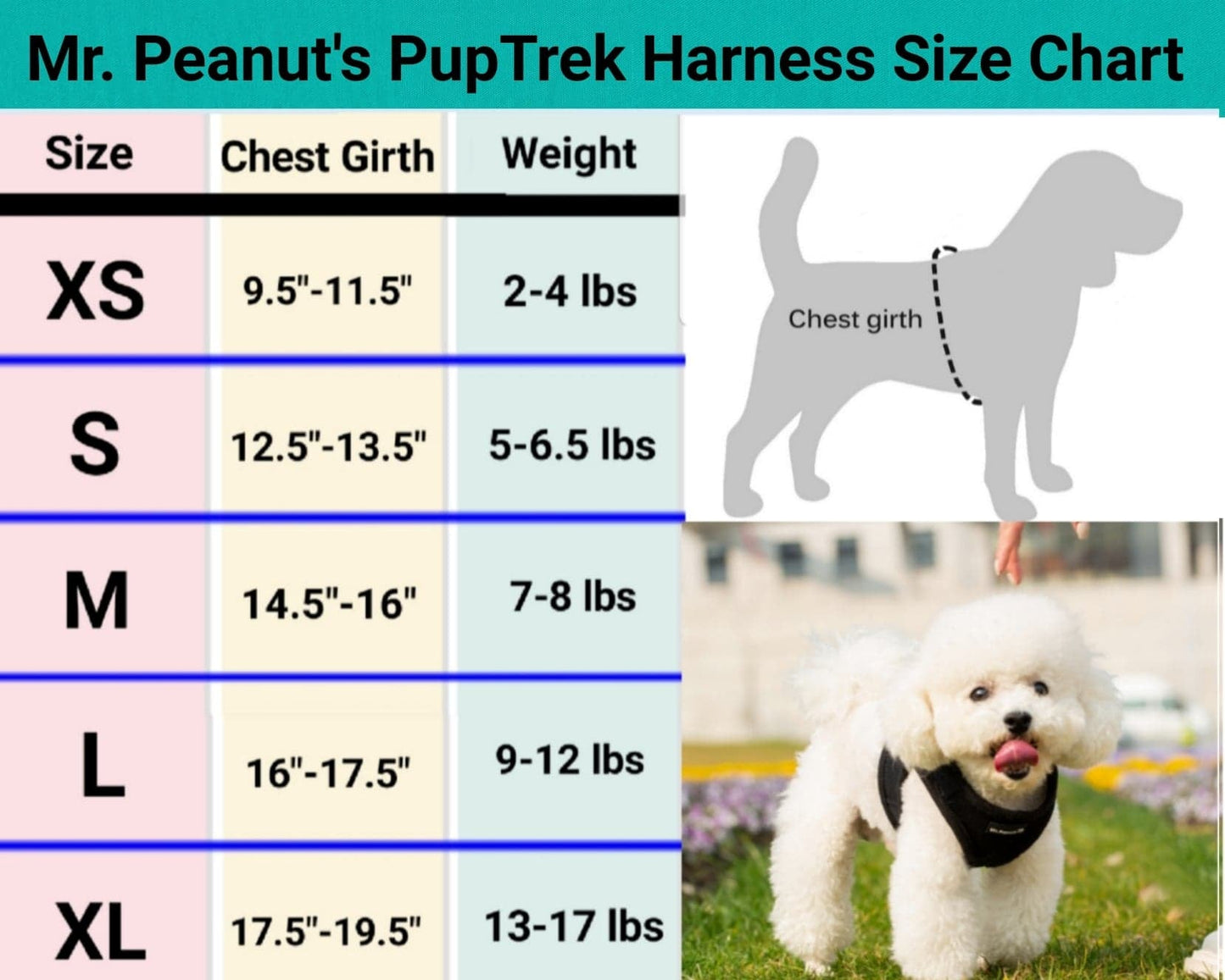 Mr. Peanut's PupTrek Soft Mesh Pet Harness with Matching Leash