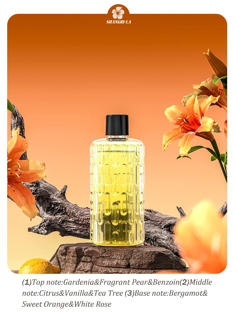 The Calm Mist Diffuser
