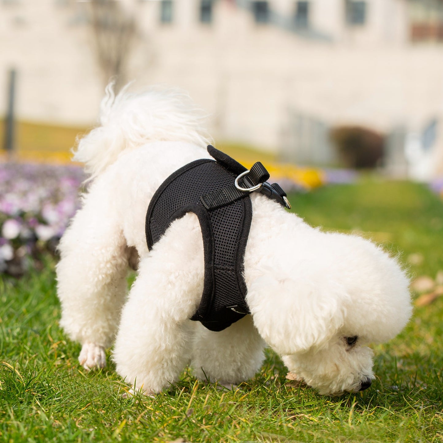 Mr. Peanut's PupTrek Soft Mesh Pet Harness with Matching Leash