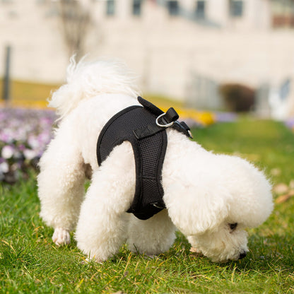 Mr. Peanut's PupTrek Soft Mesh Pet Harness with Matching Leash