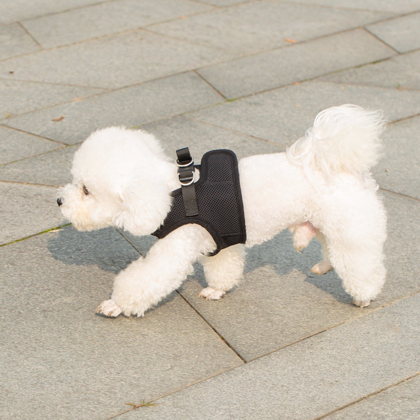 Mr. Peanut's PupTrek Soft Mesh Pet Harness with Matching Leash