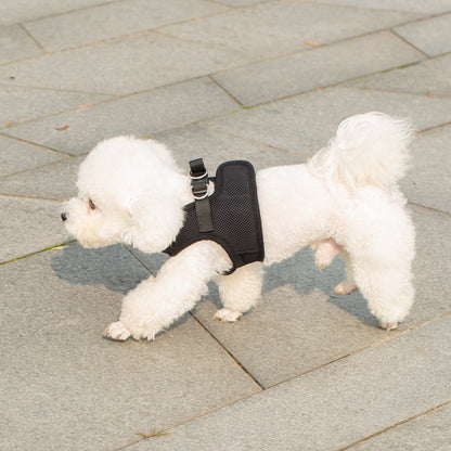Mr. Peanut's PupTrek Soft Mesh Pet Harness with Matching Leash