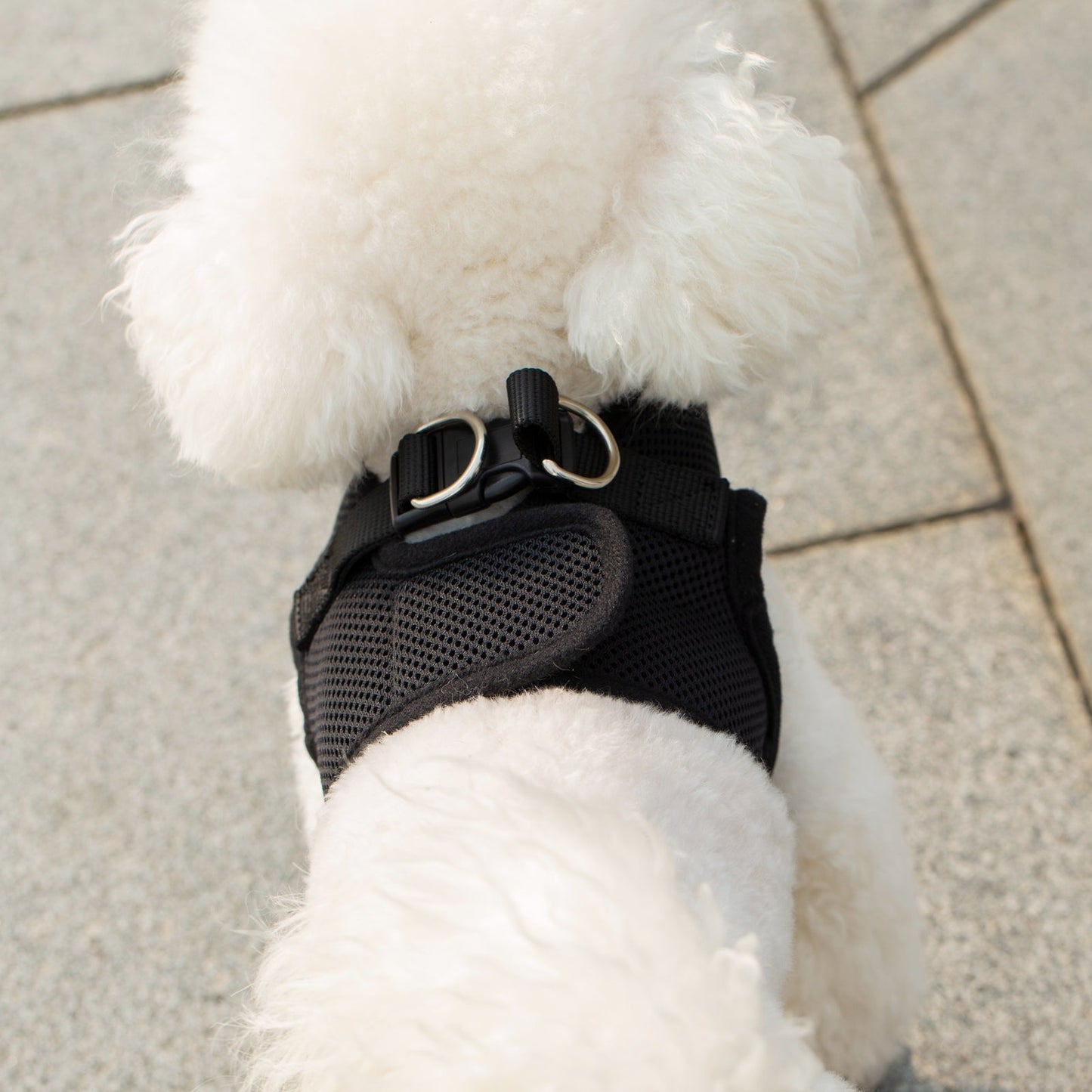 Mr. Peanut's PupTrek Soft Mesh Pet Harness with Matching Leash