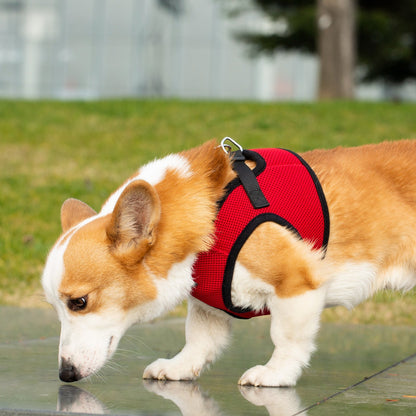 Mr. Peanut's PupTrek Soft Mesh Pet Harness with Matching Leash