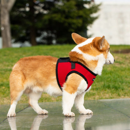 Mr. Peanut's PupTrek Soft Mesh Pet Harness with Matching Leash