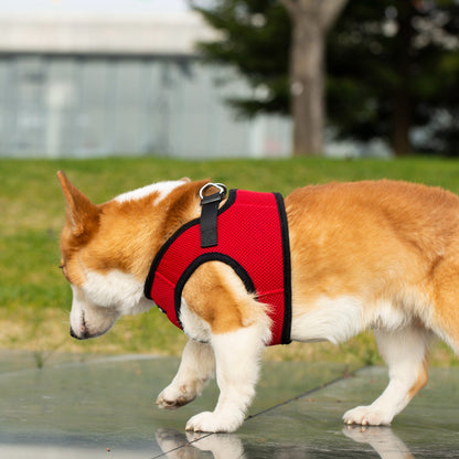 Mr. Peanut's PupTrek Soft Mesh Pet Harness with Matching Leash