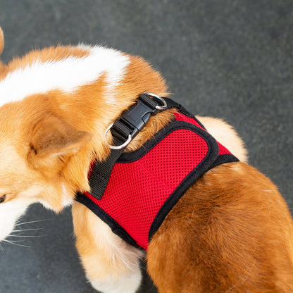 Mr. Peanut's PupTrek Soft Mesh Pet Harness with Matching Leash