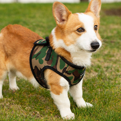 Mr. Peanut's PupTrek Soft Mesh Pet Harness with Matching Leash