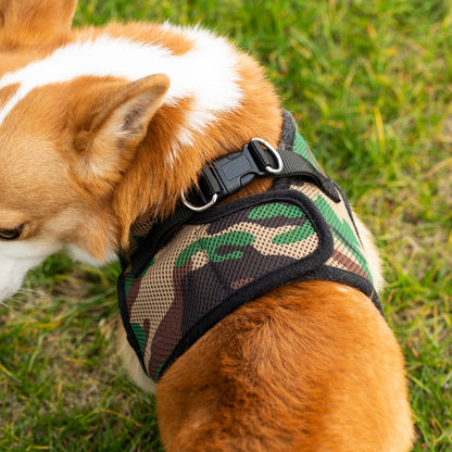 Mr. Peanut's PupTrek Soft Mesh Pet Harness with Matching Leash