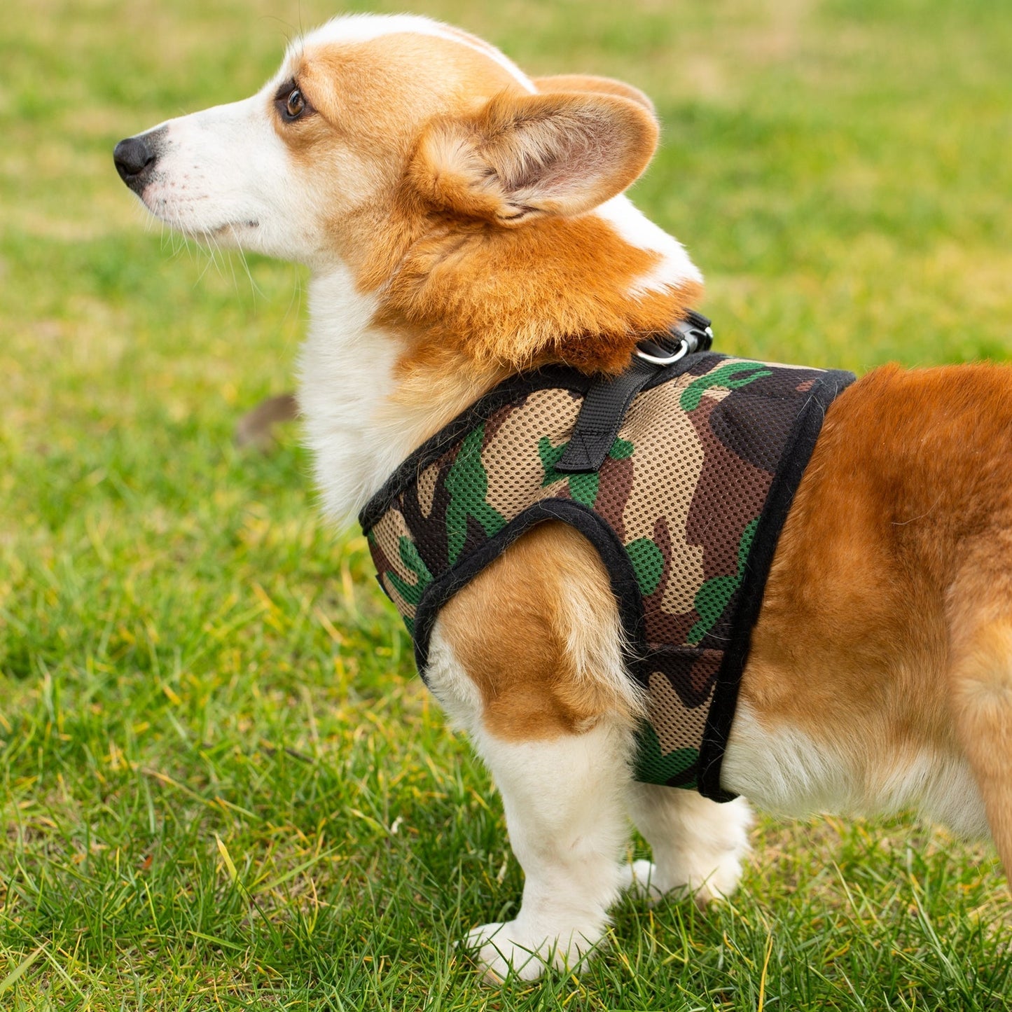 Mr. Peanut's PupTrek Soft Mesh Pet Harness with Matching Leash