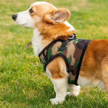 Mr. Peanut's PupTrek Soft Mesh Pet Harness with Matching Leash