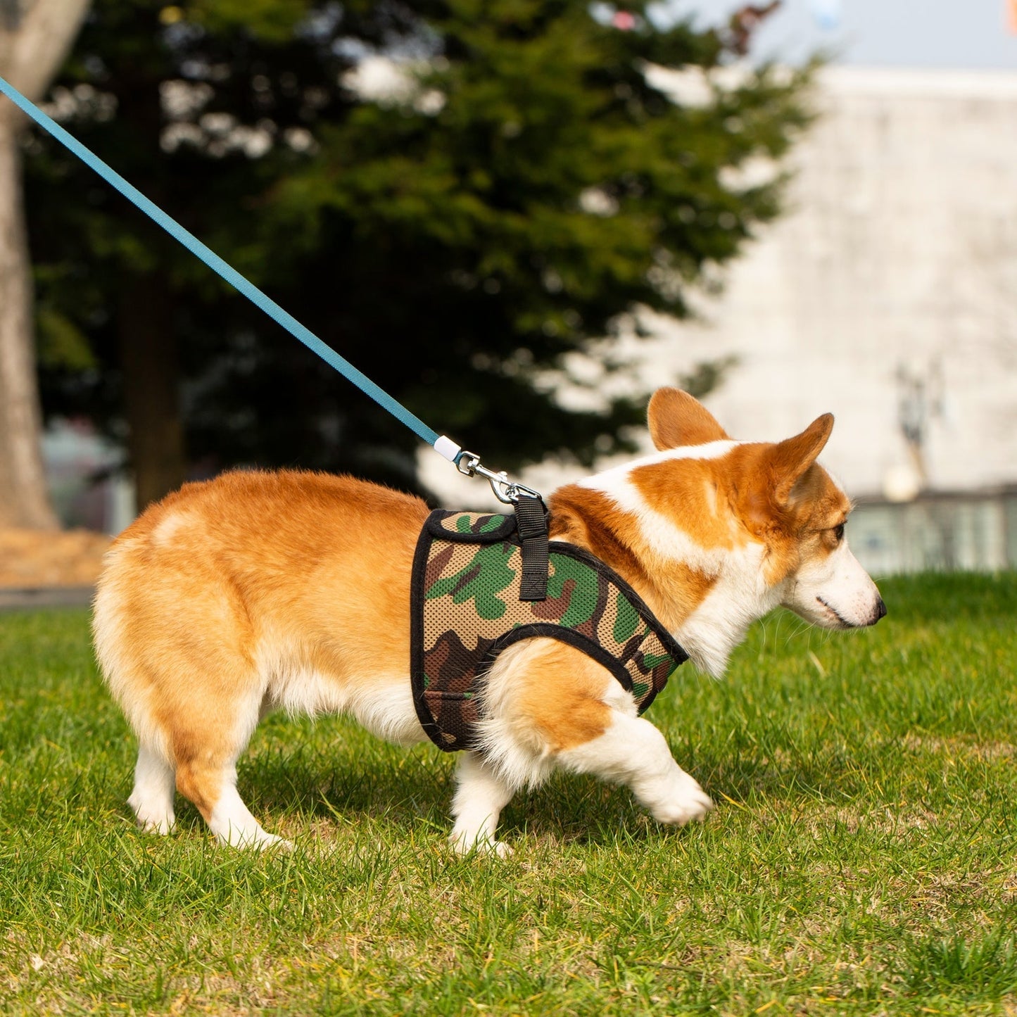 Mr. Peanut's PupTrek Soft Mesh Pet Harness with Matching Leash