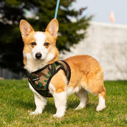 Mr. Peanut's PupTrek Soft Mesh Pet Harness with Matching Leash