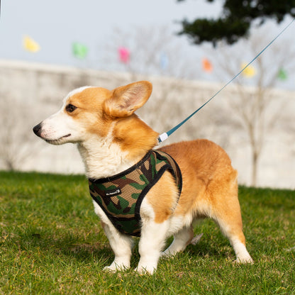 Mr. Peanut's PupTrek Soft Mesh Pet Harness with Matching Leash