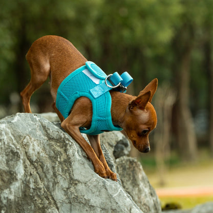 Mr. Peanut's PupTrek Soft Mesh Pet Harness with Matching Leash