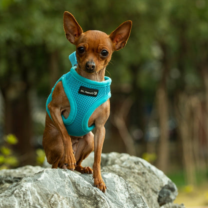 Mr. Peanut's PupTrek Soft Mesh Pet Harness with Matching Leash