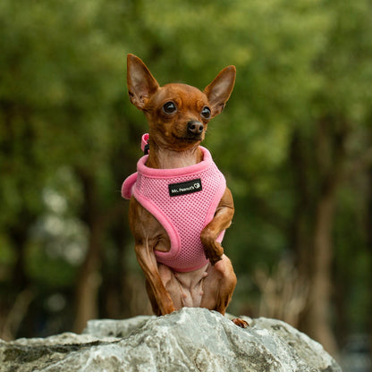 Mr. Peanut's PupTrek Soft Mesh Pet Harness with Matching Leash