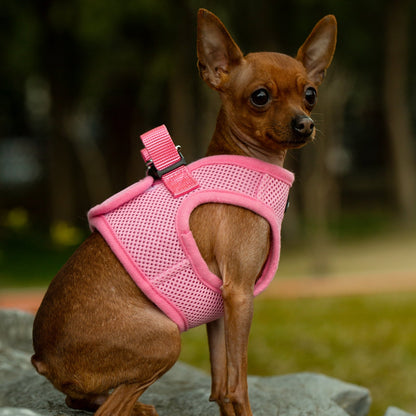 Mr. Peanut's PupTrek Soft Mesh Pet Harness with Matching Leash
