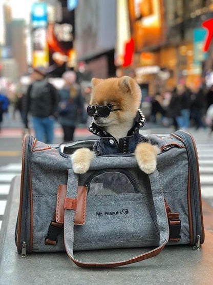 Mr. Peanut's Gold Series Standard Size Airline Compliant Pet Carrier