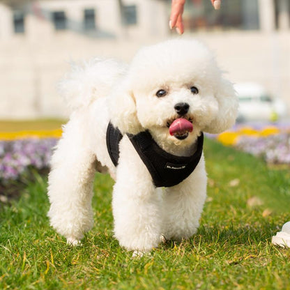 Mr. Peanut's PupTrek Soft Mesh Pet Harness with Matching Leash