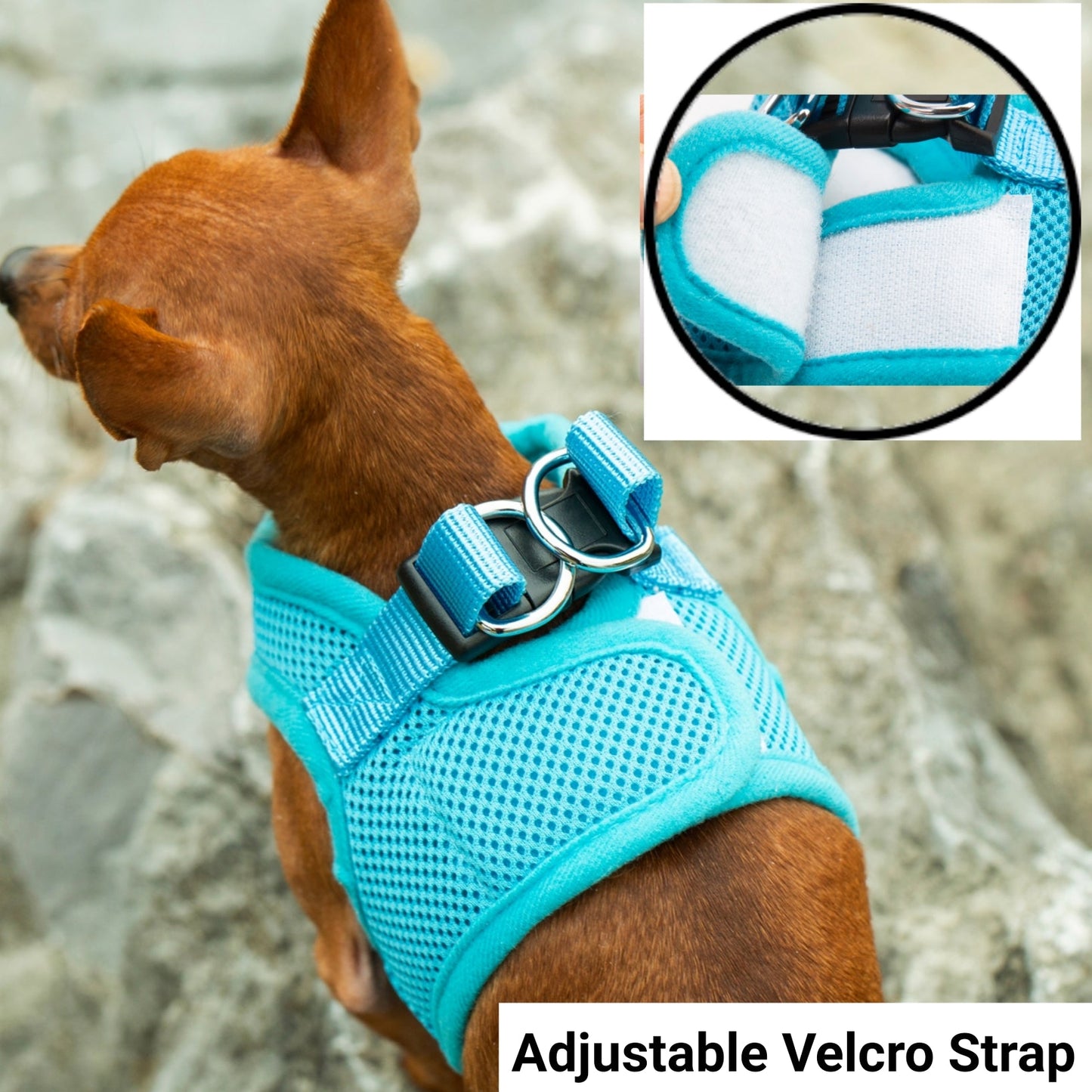 Mr. Peanut's PupTrek Soft Mesh Pet Harness with Matching Leash