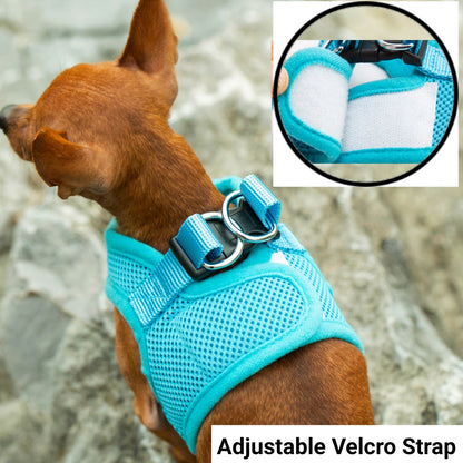 Mr. Peanut's PupTrek Soft Mesh Pet Harness with Matching Leash