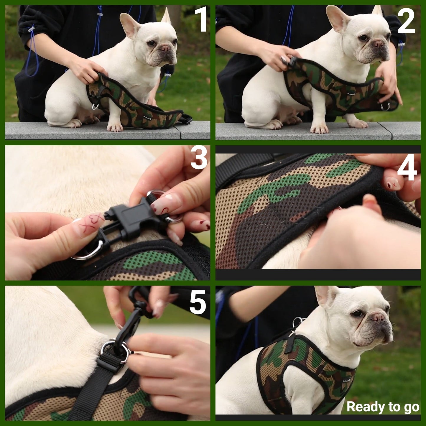 Mr. Peanut's PupTrek Soft Mesh Pet Harness with Matching Leash