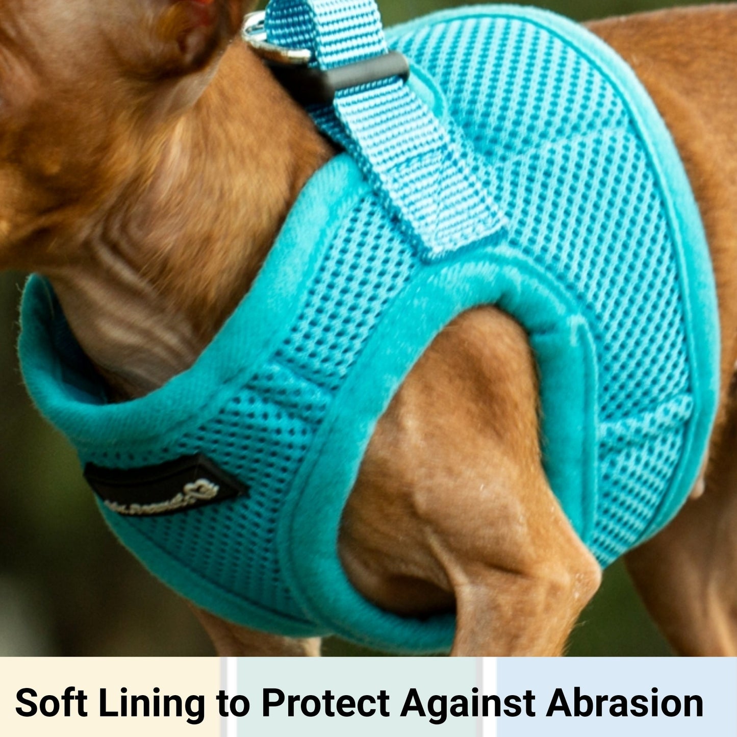 Mr. Peanut's PupTrek Soft Mesh Pet Harness with Matching Leash