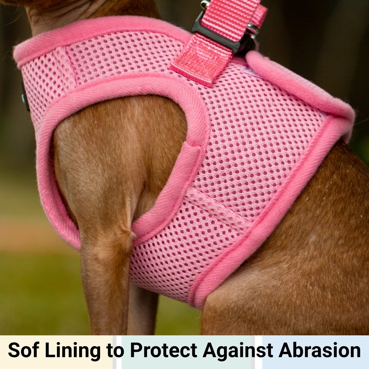 Mr. Peanut's PupTrek Soft Mesh Pet Harness with Matching Leash